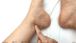 IVF With Confidence Self-Treatment Course - Image 5